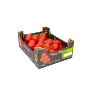 Tomato Bunch Selected 5 kg Box — premium quality