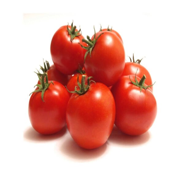 Tomato Malaysia 500g Tomato Malaysia 500g — premium quality
