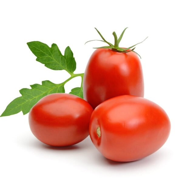 Tomato Roma UAE 8 kg Box Tomato Roma UAE 8 kg Box — premium quality