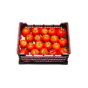 Tomato Selected UAE 5 6 kg Box Tomato Selected UAE 5 6 kg Box — premium quality