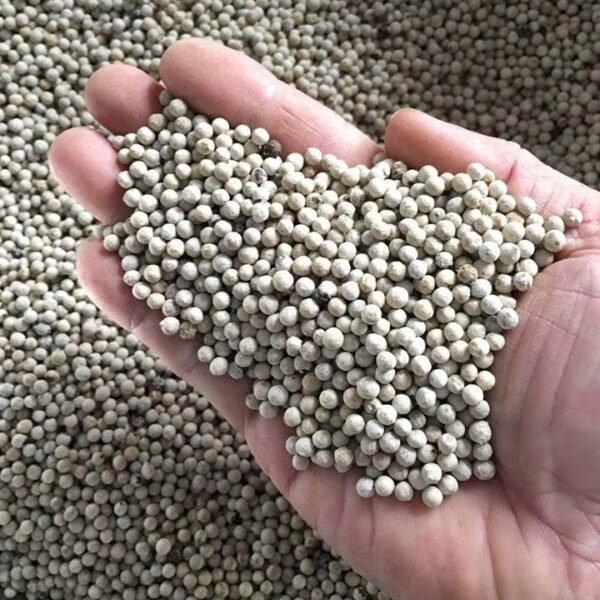 Top Grade Whole White Pepper Top Grade Whole White Pepper