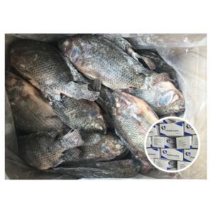 Top Quality Fresh Frozen Tilapia Fish