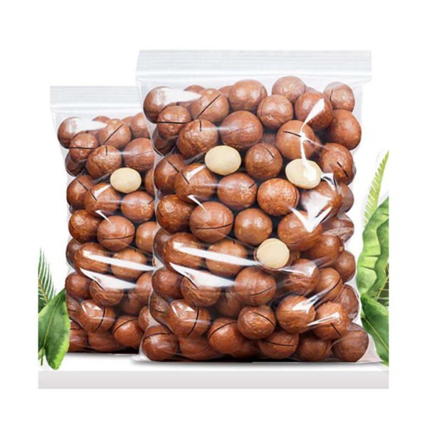 TOP Quality Shelled Raw Organic Macadamia