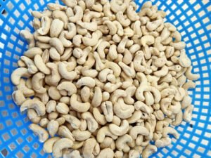VIETNAM CASHEW CASHEW NUT WW240 WW320