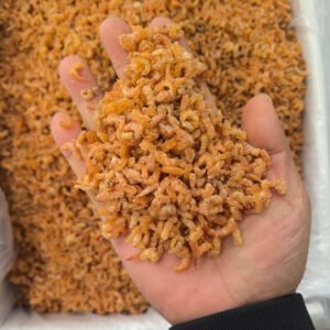 Vietnam Origin Good Price Dried Shrimp