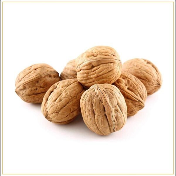 Walnuts With Shell Ndash The Nuts Supermarket Llc Walnuts With Shell Ndash The Nuts Supermarket Llc — premium quality