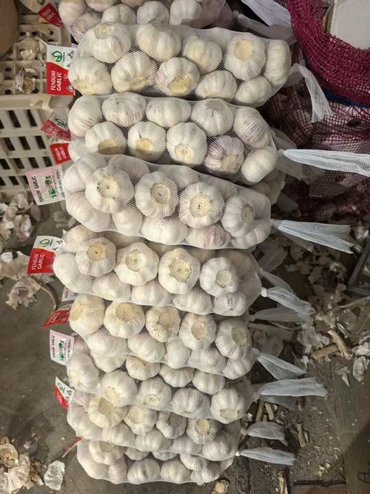 Want to Order 1x20 40 China