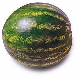 Watermelon 8kg — premium quality