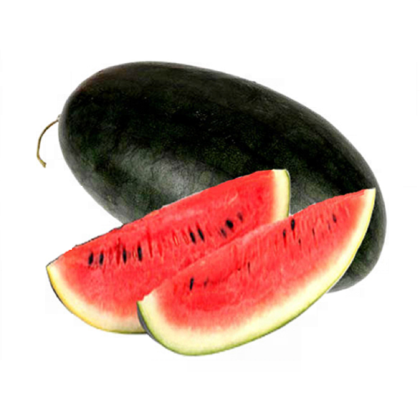 Watermelon Watermelon — premium quality