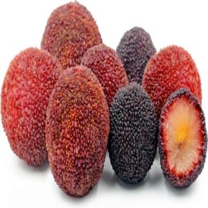 Wax Berry China 1250g Box Wax Berry China 1250g Box — premium quality
