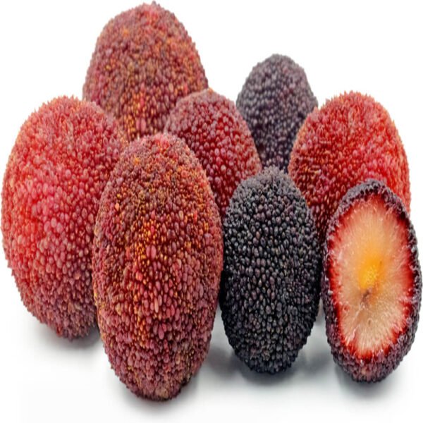 Wax Berry China 1250g Box Wax Berry China 1250g Box — premium quality
