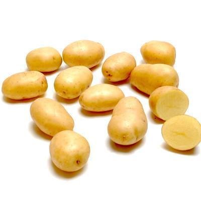 White Baby Quot Chat Quot Potato Quot Ideal For Baking Quot White Baby Quot Chat Quot Potato Quot Ideal For Baking Quot — premium quality