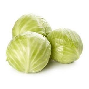 White Cabbage — premium quality