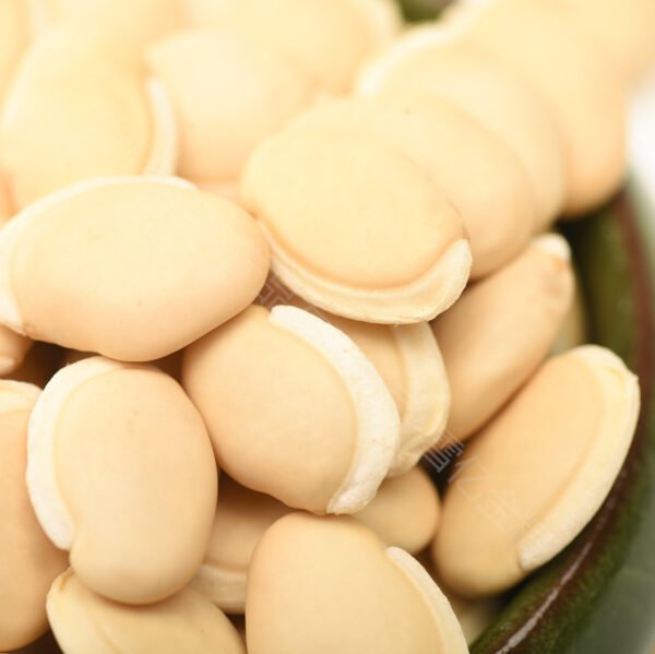 White Lentil Wholesale Small Sample Inspection