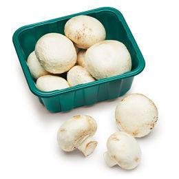 White Mushroom — premium quality