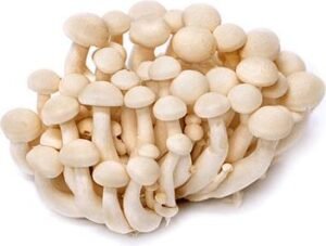 White Shimeji Mushroom — premium quality