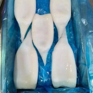 Whole Clean Frozen Squid Tube Frozen