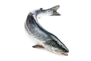 Whole Farm Raised Salmon Cleaned 2kg — premium quality