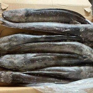 Whole Round Frozen Catfish Hot Selling