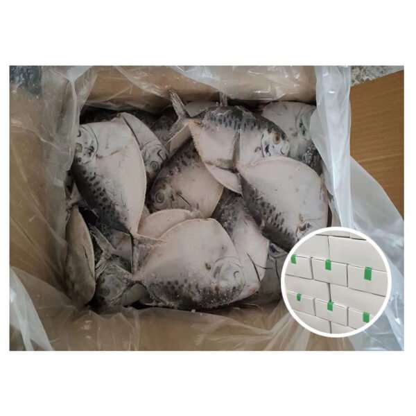 Whole Round Moonfish Ikan Seafrozen Moon