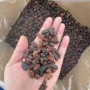 Whole Sale Factory Price Xinjiang Natural