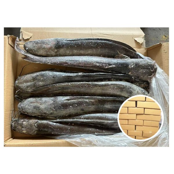 Whole Sale Price Top Selling Seafood Whole Sale Price Top Selling Seafood