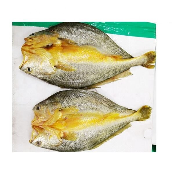 Whole Yellow Croaker Fish Processing Line