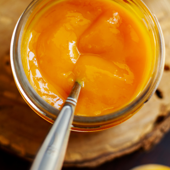 Wholesale Alphonso Mango Puree from India