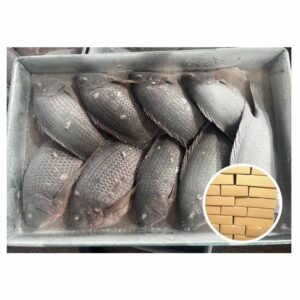 Wholesale Attractive Price BQF Oreochromis Niloticus