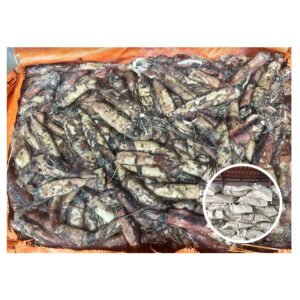 Wholesale Attractive Price Raw Squid Sthenoteuthis