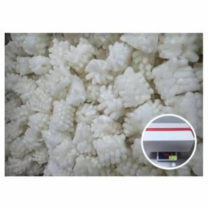 Wholesale Calamari Squid Giant Squid Meat