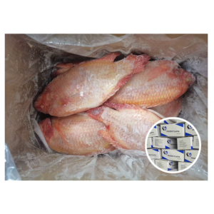 Wholesale China Farm Fish Supplier Good