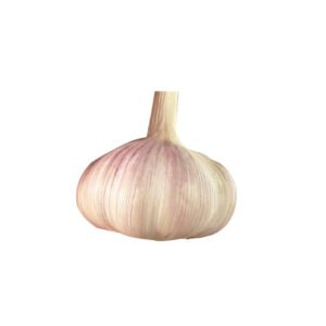Wholesale Fresh Peeled Garlic in Purple