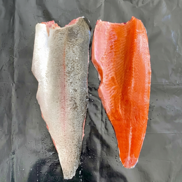 Wholesale Fresh Salmon Trout Whole or Wholesale Fresh Salmon Trout Whole or
