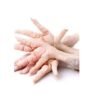 Wholesale Frozen Chicken Feet Grade 1