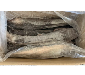 Wholesale Frozen Fish Catfish Fresh Frozen