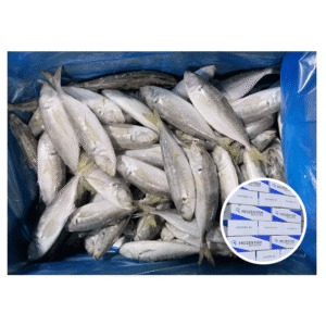Wholesale Frozen Horse Mackerel Pacific IQF