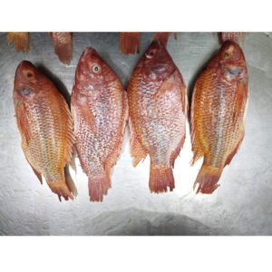 Wholesale Frozen Red Tilapia Fish Whole