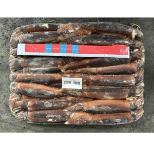 Wholesale Frozen Squid 150 200g and