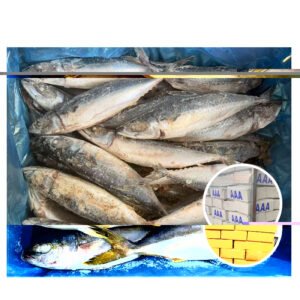 Wholesale Frozen Yellowtail Bulk Cartons Premium