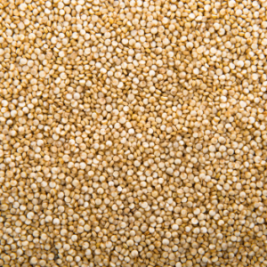 Wholesale Organic Quinoa Seed in White