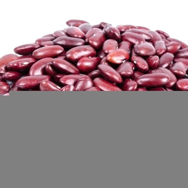 Wholesale Premium Castor Seeds Raw Natural Wholesale Premium Castor Seeds Raw Natural