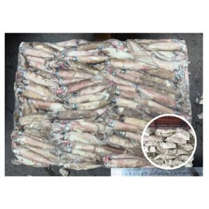 Wholesale Price Good Quality Calamari Whole