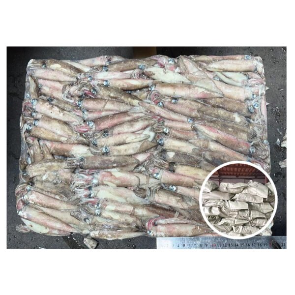 Wholesale Price Good Quality Calamari Whole Wholesale Price Good Quality Calamari Whole