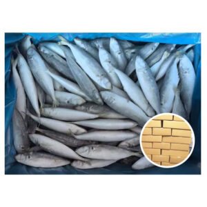 Wholesale Price IQF Scad Mackerel 12