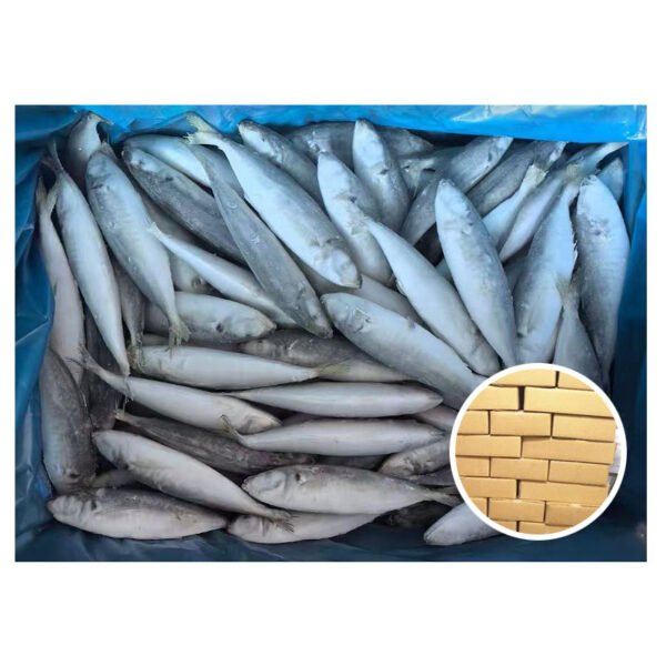 Wholesale Price IQF Scad Mackerel 12 Wholesale Price IQF Scad Mackerel 12