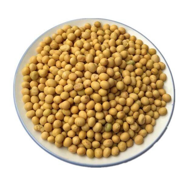 Wholesale Sale of GUOWAN Organic Non