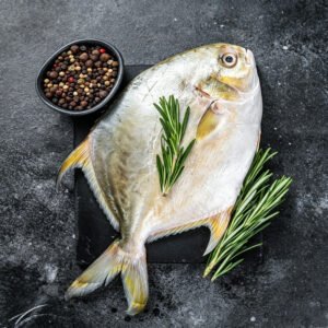 Wholesale Seafood Supply Premium Quality Golden