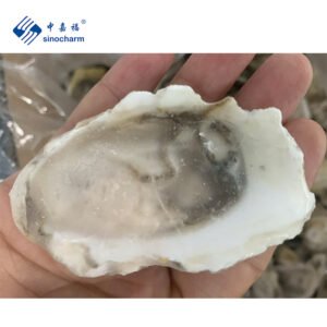 Wholesale Top Quality Seafood Supplier Frozen
