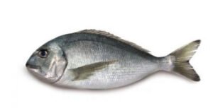 Wild Sea Bream Whole Cleaned 500g Wild Sea Bream Whole Cleaned 500g — premium quality
